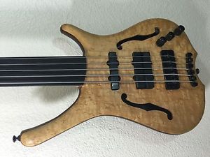 Warwick Infinity