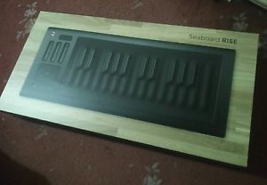 Roli Seaboard Rise 25 Midi Keyboard