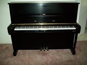 Gorgeous Sojin Upright Piano