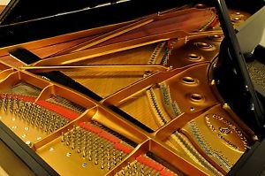2008 STEINWAY & SONS Model D Concert Grand Piano