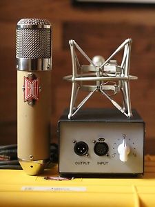 Beesneez James Tube Multi-pattern Condenser Microphone
