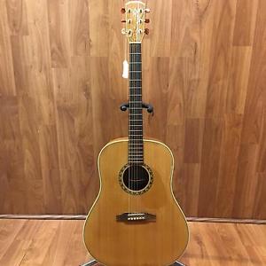 Alvarez DY65 Acoustic w/ case
