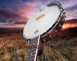 5string Banjo "Lone Prairie" aus der 3-Fische Werkstatt