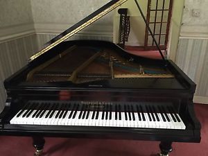 Hagspiel Of Dresden - Reconditioned Grand Piano