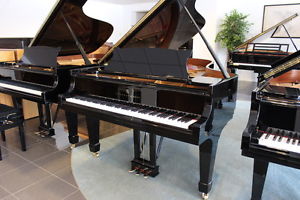 Steinway & Sons Flügel, Mod. B 211, vom Klavierbaumeister, 5 J. Garantie