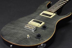 Paul Reed Smith(PRS) SE Custom 22 Electric Free Shipping