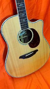 Breedlove Stage D25 acoustic electric 6 string dreadnought guitar + case