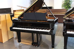 Steinway & Sons Flügel, Mod. B 211, vom Klavierbaumeister, 5 J. Garantie