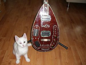 Elektro Baglama Ardic