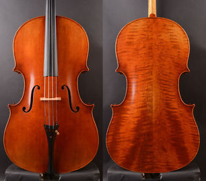 Special offer Montagnana 1739 