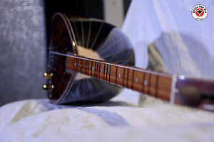 Uzun Sap Elektro Baglama - Langhals Elekro Baglama Saz - Diyar Saz Evi Germany