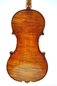 Violin "A.E.Fowler" 2016 fondo una pieza