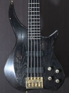 Zodiac works ZP-5 Used  w/ Gigbag