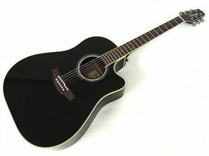 Takamine DMP861C