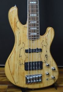 Cort / GB5-Custom  From JAPAN free shipping #A2416