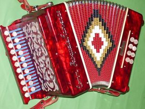 Made in Italy Ficosecco two row Button Accordion