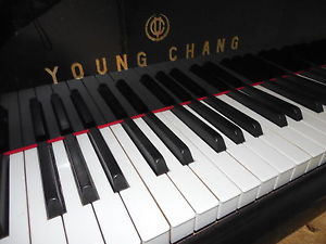 YOUNG CHANG, 4' 11'  BABY GRAND PIANO w/ MATCHING BENCH