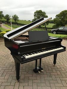 Dale, Forty Baby Black Piano