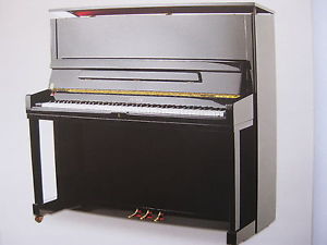 Petrof Konzertklavier mit RENNER Mechanik - Stuttgart - von REHA-PIANO-AURICH