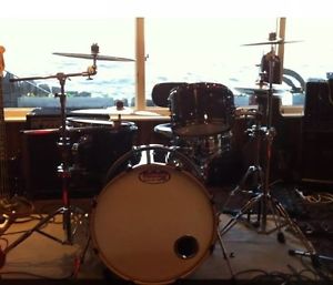 Animal Custom Drum Shell Pack