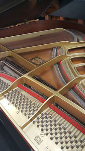 Yamaha GH1 Baby Grand Piano Great condition