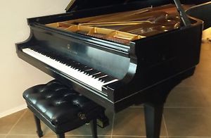1991 STEINWAY & SONS Model D Concert Grand Piano