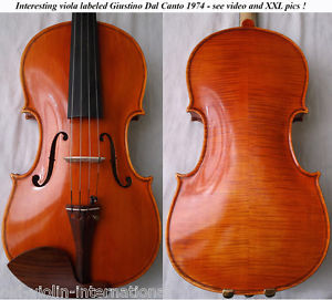 Contemporary VIOLA label G. Dal Canto - VIDEO - BRATSCHE 中提琴 альт ビオラ VIOLIN 860