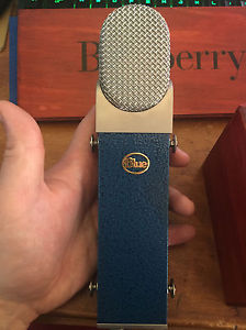 Blue Blueberry Microphone