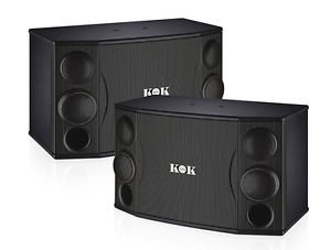 KOK AUDIO PROFESSIONAL KARAOKE SPEAKER 12" WOOFER 1000 WATTS BS-112