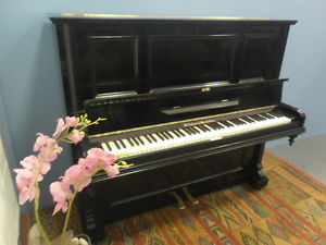 Reconditioned, Black, Bechstein Model V, Piano.  CAN DELIVER