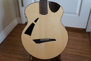 All Solid Wood Avian Skylark Acoustic Electric Guitar Rosewood Mint