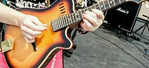 Electric mandolin FREE HARD CASE & FREE SHIPPING!!