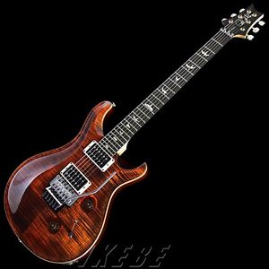 P.R.S. "Floyd" Custom24 OI w/hard case Free shipping Guiter From JAPAN #Z225