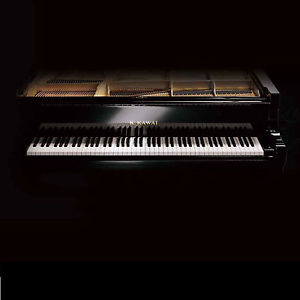 KAWAI GM-10K GRAND PIANO in BLACK POLYESTER
