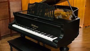 Blüthner Art-case Grand Piano - Handmade in Germany - FREE Delivery in USA