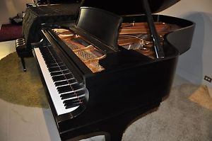 Steinway Model B, Very Powerful, Big Growling Bass, 15 B's to choose from