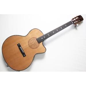 ARIA SP-CST New w/ Hard case