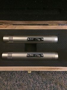 BeesNeez Lulu Fet Condenser Microphone Pair Mint - Free Shipping