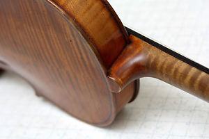 *ENEA PEROTTI reatino 1901* Alte Meistergeige