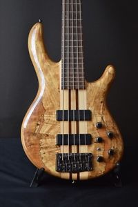 Cort / A5 Custom SP From JAPAN free shipping #A2397