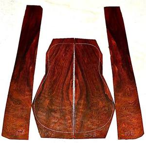 BRAZILIAN ROSEWOOD  DREADNAUGHT ACOUTIC  GUITAR  EXHIBITION QUILTED SET