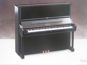 Yamaha U3 mit Softtop -sehr gut und sehr gepflegt- von REHA-PIANO-AURICH