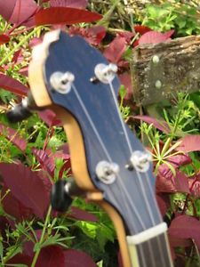 VEGA "LITTLE WONDER" 5 STRING BANJO CONVERSION CIRCA 1925