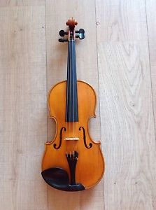 Violino