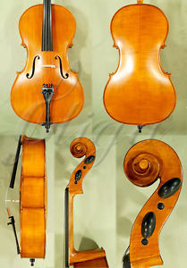 FINE QUALITY STUDENT Level 3/4 'GEMS 2' CELLO