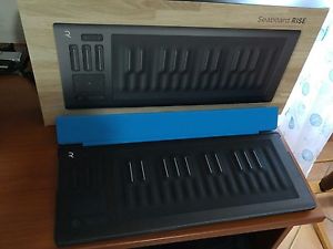 Roli SeaBoard RISE 25 + FlipCover