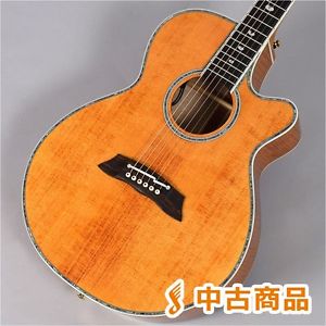 Takamine DSP100 VN  201609150102 Free shipping Japan