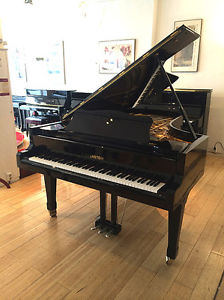 Bechstein Flügel, Länge 227 cm, gebraucht, überholt
