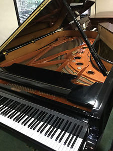 Schimmel Grand Piano