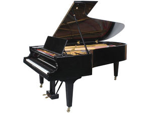 Grotrian Steinweg Nachfahre., Braunschweig, Flügel 230cm, GENERARLÜBERHOLT